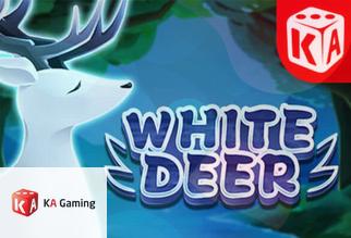 White Deer